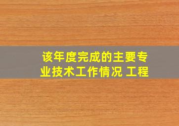 该年度完成的主要专业技术工作情况 工程